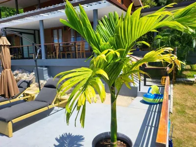 Lost paradise 2 – Fotos 9