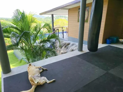 Lost paradise 2 – Fotos 11